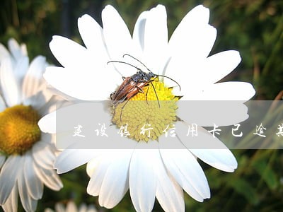 建设银行信用卡已逾期1月了 建设银行信用卡已逾期1月了