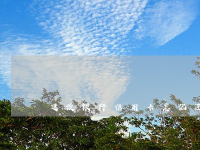 建设银行信用卡忘记还款逾期了