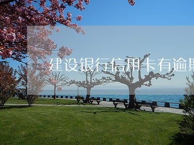 建设银行信用卡有逾期怎么查询 建设银行信用卡有逾期怎么查询