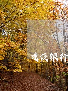 建设银行信用卡欠款十元逾期 建设银行信用卡欠款十元逾期