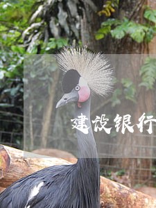 建设银行信用卡经常逾期 建设银行信用卡经常逾期