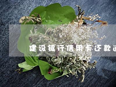 建设银行信用卡还款逾期一天6 建设银行信用卡还款逾期一天6