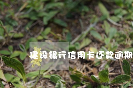 建设银行信用卡还款逾期咋个办 建设银行信用卡还款逾期咋个办