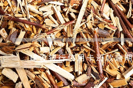 建设银行信用卡还款逾期查询
