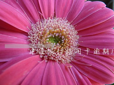 建设银行信用卡逾期180天