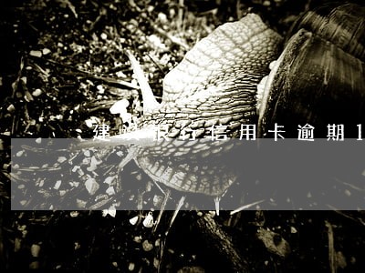 建设银行信用卡逾期1天上征信