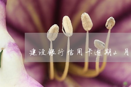 建设银行信用卡逾期2月 建设银行信用卡逾期2月