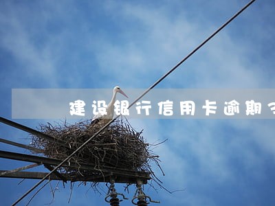 建设银行信用卡逾期33天还款 建设银行信用卡逾期33天还款