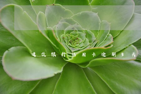 建设银行信用卡逾期3天影响吗 建设银行信用卡逾期3天影响吗
