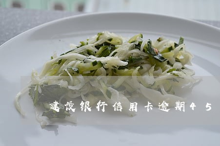 建设银行信用卡逾期45天 建设银行信用卡逾期45天
