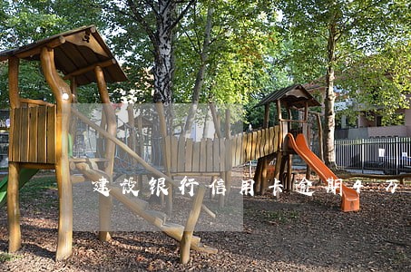 建设银行信用卡逾期4万起诉 建设银行信用卡逾期4万起诉