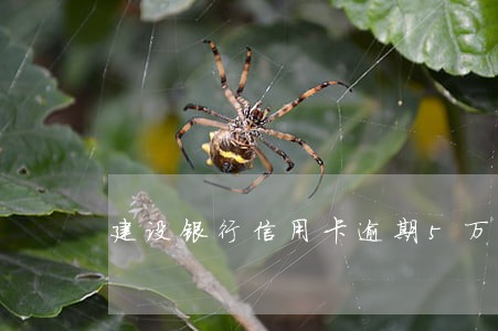 建设银行信用卡逾期5万额度