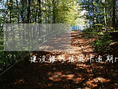 建设银行信用卡逾期5天 建设银行信用卡逾期5天