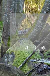 建设银行信用卡逾期5天会冻结吗 建设银行信用卡逾期5天会冻结吗