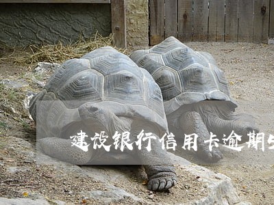 建设银行信用卡逾期5天还款吗 建设银行信用卡逾期5天还款吗