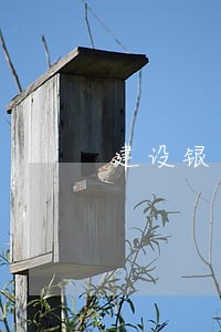 建设银行信用卡逾期60天后果 建设银行信用卡逾期60天后果