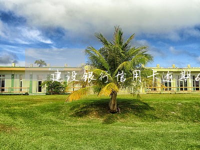 建设银行信用卡逾期67天了