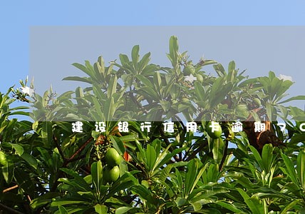 建设银行信用卡逾期7000多