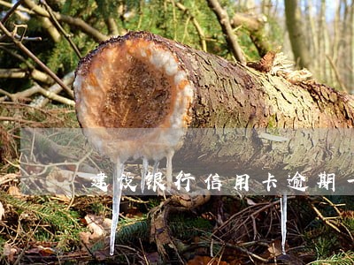 建设银行信用卡逾期一万一 建设银行信用卡逾期一万一