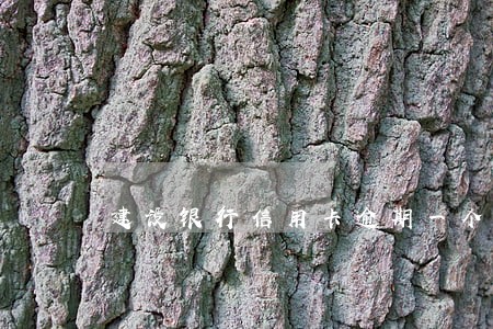 建设银行信用卡逾期一个星期还款 建设银行信用卡逾期一个星期还款