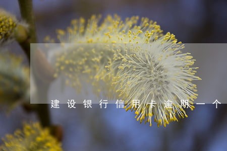 建设银行信用卡逾期一个月还多少 建设银行信用卡逾期一个月还多少