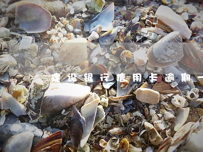 建设银行信用卡逾期一天没事吧 建设银行信用卡逾期一天没事吧
