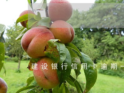 建设银行信用卡逾期一年有多少 建设银行信用卡逾期一年有多少