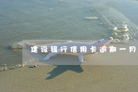 建设银行信用卡逾期一月多少利息