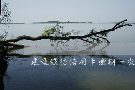 建设银行信用卡逾期一次上征信 建设银行信用卡逾期一次上征信