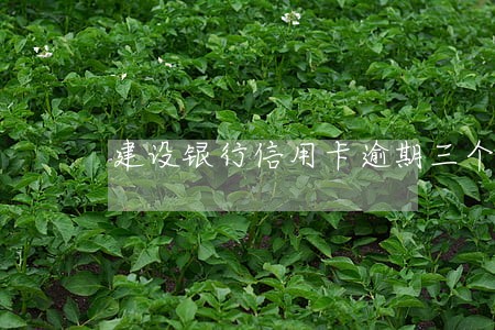建设银行信用卡逾期三个星期
