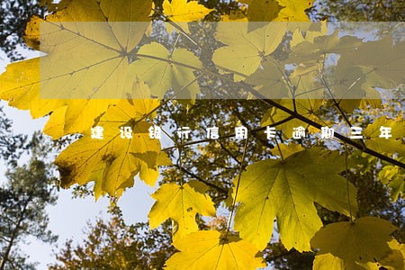 建设银行信用卡逾期三年了 建设银行信用卡逾期三年了