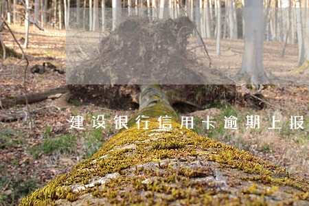 建设银行信用卡逾期上报是什么