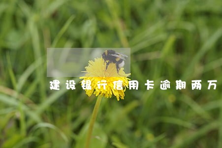 建设银行信用卡逾期两万多 建设银行信用卡逾期两万多