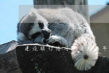 建设银行信用卡逾期两年多少利息 建设银行信用卡逾期两年多少利息