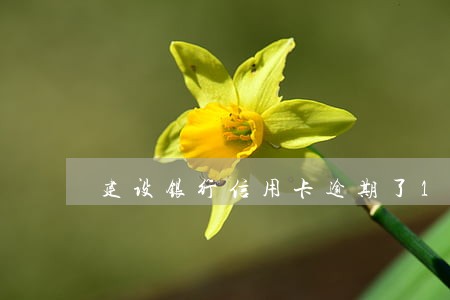 建设银行信用卡逾期了180天 建设银行信用卡逾期了180天