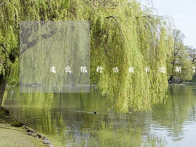 建设银行信用卡逾期了还可以吗 建设银行信用卡逾期了还可以吗
