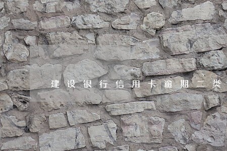 建设银行信用卡逾期二类卡