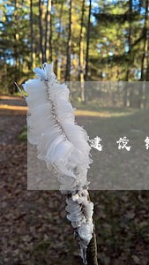建设银行信用卡逾期五块 建设银行信用卡逾期五块