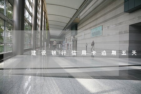 建设银行信用卡逾期五天 建设银行信用卡逾期五天