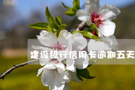 建设银行信用卡逾期五天利息
