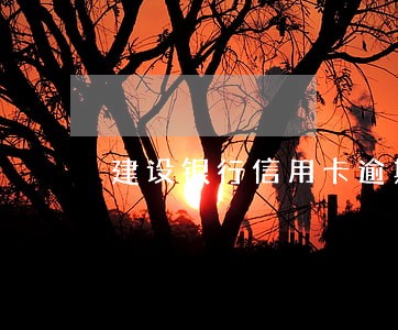 建设银行信用卡逾期停