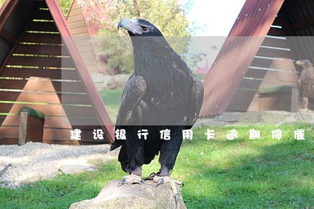 建设银行信用卡逾期停催收