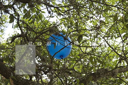 建设银行信用卡逾期停用了 建设银行信用卡逾期停用了