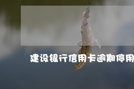 建设银行信用卡逾期停用了还清了
