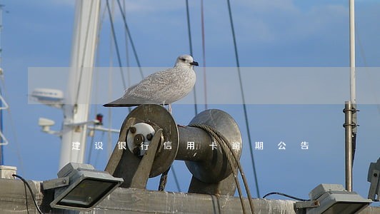 建设银行信用卡逾期公告