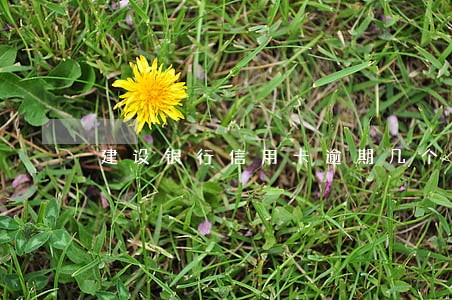 建设银行信用卡逾期几个小时 建设银行信用卡逾期几个小时