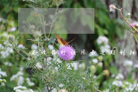 建设银行信用卡逾期划扣 建设银行信用卡逾期划扣