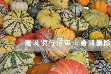 建设银行信用卡逾期删除