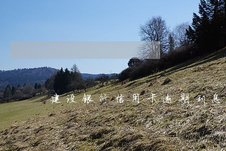 建设银行信用卡逾期利息