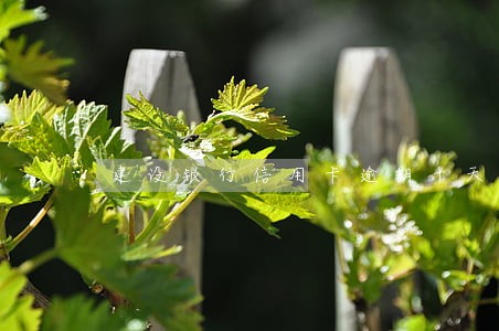 建设银行信用卡逾期十天怎么办 建设银行信用卡逾期十天怎么办